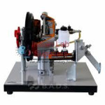 Hydraulic Control Clutch Cutaway Model